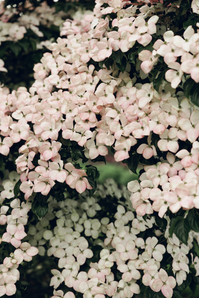 The Gardens At Uncanoonuc Mountain Wedding | Goffstown NH | Documentary + Editorial Wedding Photographer | NH Garden Wedding Venue